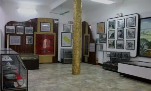 Bảo Tàng Cúc Phương