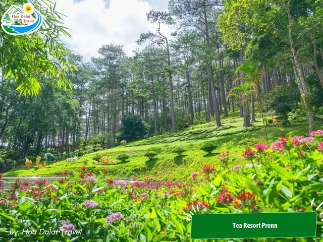Dưới Đây Là Một Số Điểm Đến Check-in Ở Đà Lạt: