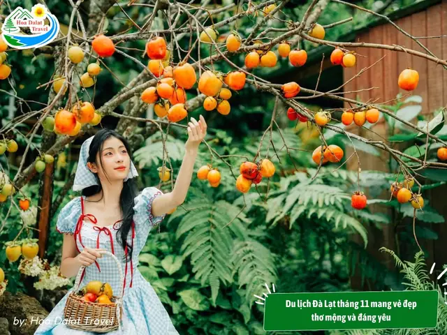 Du Lịch Đà Lạt Tháng 11 Có Gì Đẹp?