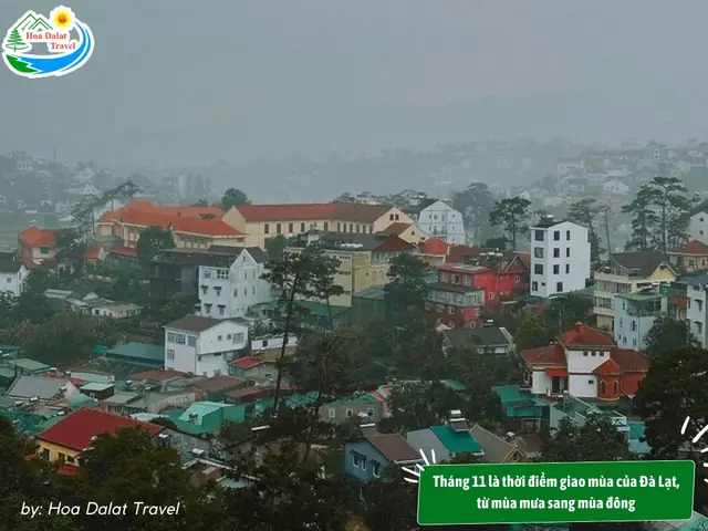 Đà Lạt Tháng 11 Có Mưa Không?
