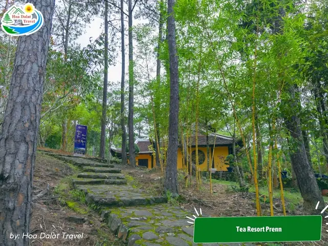 Dưới Đây Là Một Số Điểm Đến Check-in Ở Đà Lạt: