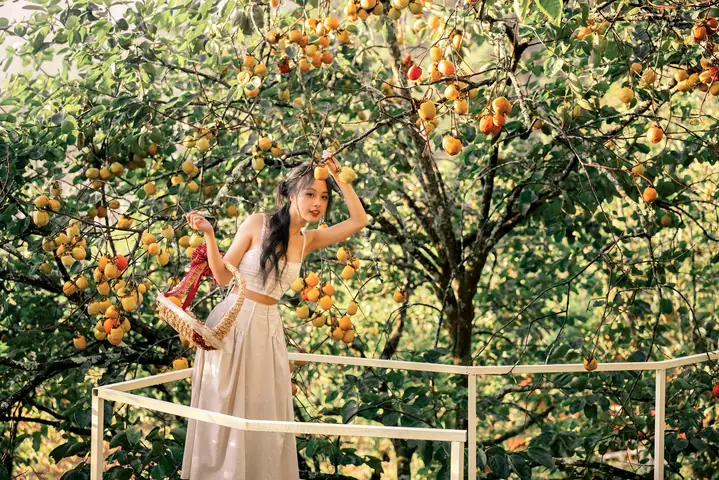 Mùa Thu Đà Lạt Có Gì Mà Làm Say Mê Lòng Người Mùa Thu Đà Lạt Có Gì Mà Làm Say Mê Lòng Người
