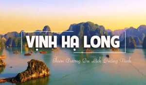Kinh Nghiệm Du Lịch Hạ Long Tự Túc Cho Người Lần Đầu Mới Đi