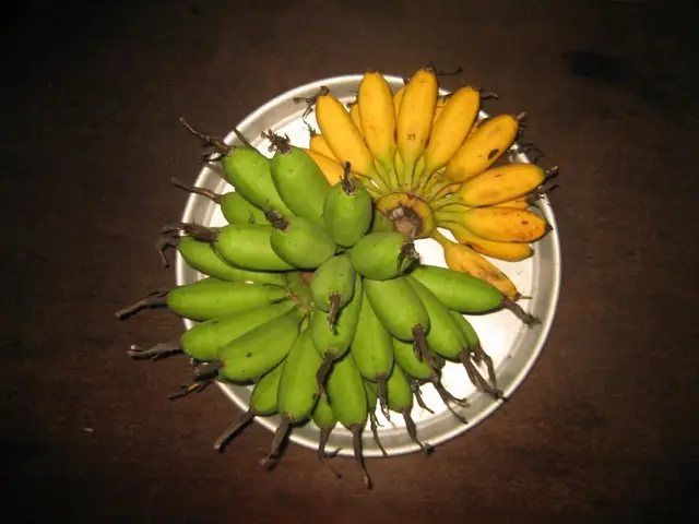 Chuối Ngự Đại Hoàng