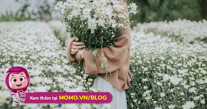 Kinh Nghiệm Du Lịch Hà Nội Tự Túc, Cùng Momo Khám Phá Thủ Đô Kinh Nghiệm Du Lịch Hà Nội Tự Túc, Cùng Momo Khám Phá Thủ Đô