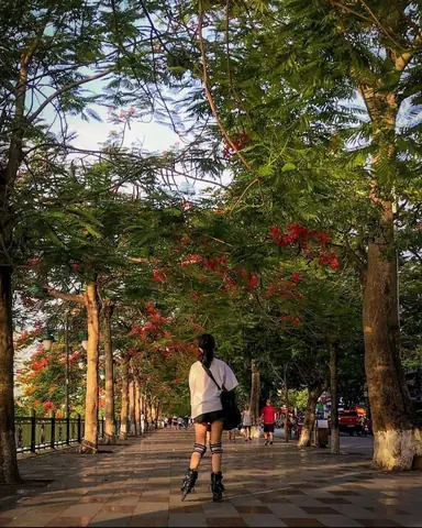 1. Ngày 1: Khám Phá Trung Tâm Hải Phòng