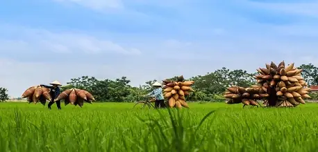 Du Lịch Hưng Yên – Top Điểm Đến & Kinh Nghiệm Cần Biết