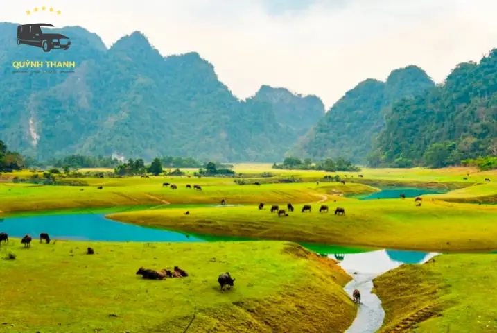 Cẩm Nang Du Lịch Hữu Lũng Lạng Sơn Từ A Đến Z