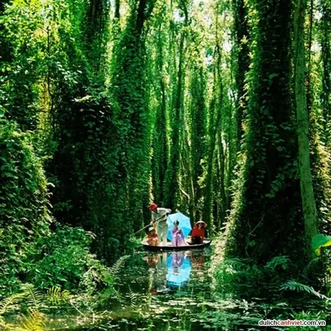 Kinh Nghiệm Du Lịch Miền Tây Tự Túc Từ A Đến Z