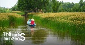 12 Tour Miền Tây Giá Tốt Về Miền Sông Nước Hữu Tình - Klook Blog