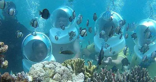 Du Lịch Nha Trang - Đà Lạt 4 Ngày 3 Đêm