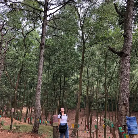 Khu Du Lịch Sinh Thái Thiên Phú Lâm – Hà Nội Khu Du Lịch Sinh Thái Thiên Phú Lâm – Hà Nội