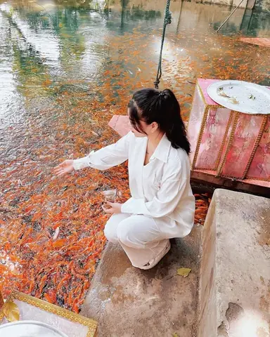 Nhiều Lễ Hội Và Sự Kiện Nhiều Lễ Hội Và Sự Kiện