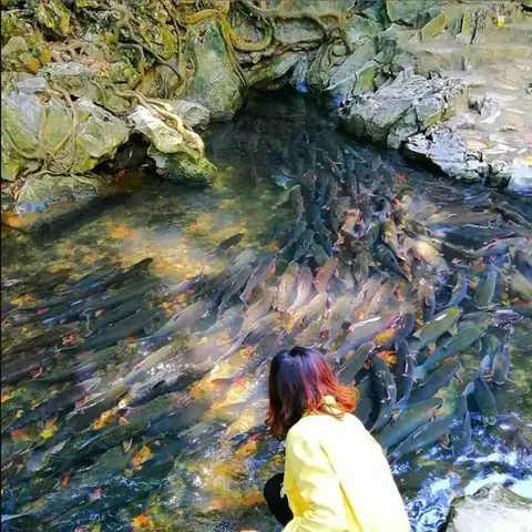 Gợi Ý Tour Du Lịch Thanh Hóa 2 Ngày 1 Đêm Mùa Đông