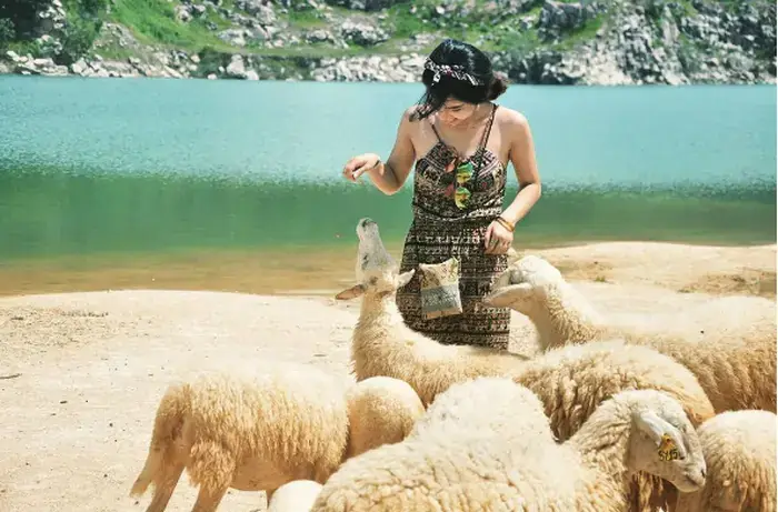 Đồi Cừu Suối Nghệ Đồi Cừu Suối Nghệ