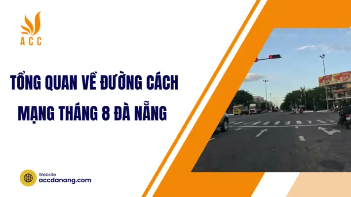 Đường Cách Mạng Tháng 8 Đà Nẵng Nằm Ở Đâu Và Mang Ý Nghĩa Gì?