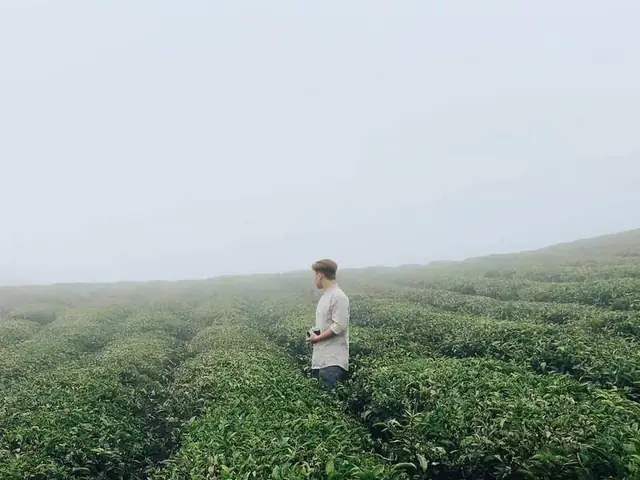 Một Số Lưu Ý Khi Đi Du Lịch Bụi Đà Lạt Một Số Lưu Ý Khi Đi Du Lịch Bụi Đà Lạt