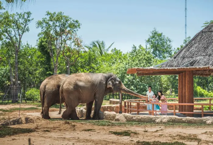 Trẻ 8 Tháng Đi Máy Bay Được Không?
