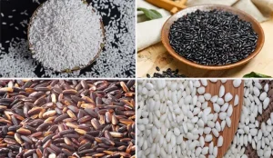 Gợi Ý 10 Loại Gạo Nếp Nấu Xôi Cúng Tết Ngon Chuẩn Vị
