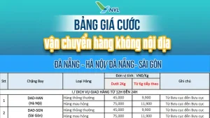 Giá Cước Vận Chuyển Hàng Hoá Bằng Đường Hàng Không Nội Địa Chi ...