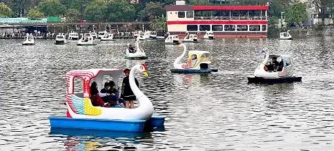 Đạp Vịt Hồ Tây - Chi Tiết Địa Chỉ, Khung Giờ & Giá Vé