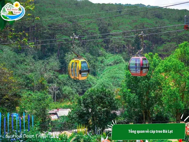 Tổng Quan Về Cáp Treo Đà Lạt