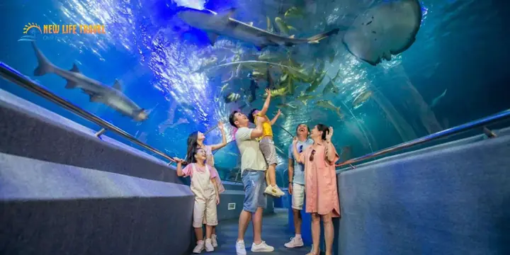 Bảng Giá Vé Tham Quan Các Địa Điểm Nổi Bật Tại Nha Trang Kinh Nghiệm Xem Giá Vé Đi Các Đảo Ở Nha Trang Hữu Ích