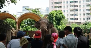 Vé Tăng, Thảo Cầm Viên Sài Gòn Vẫn Đông Kín Khách Ngày Đầu Năm ...