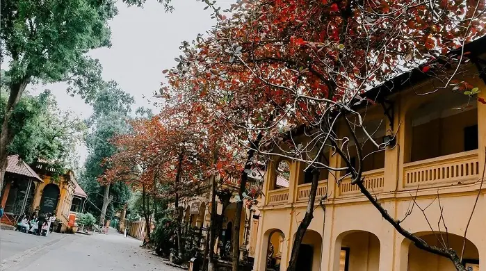 36 Phố Phường Hà Nội: Nét Đẹp Lịch Sử Lưu Giữ Nghìn Năm 36 Phố Phường Hà Nội: Nét Đẹp Lịch Sử Lưu Giữ Nghìn Năm