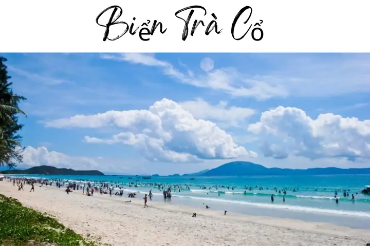 Biển Trà Cổ - Khám Phá Vùng Biển Tĩnh Lặng Tại Quảng Ninh