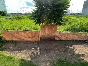 Giới Thiệu Về Nguồn Gốc, Quy Trình Và Ứng Dụng Của Mây Tre Đan Việt ...