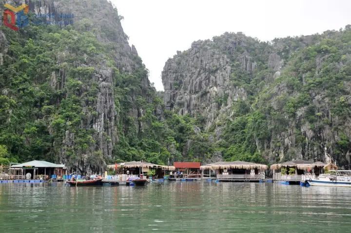 The Allure Of Hang Co - Vung Vieng In Ha Long Bay - Big Bay Group