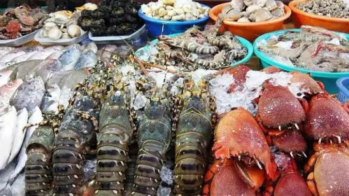 Các Loại Cá Biển
