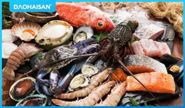 Các Loại Sò