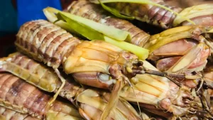 Cách Hấp Bề Bề Ngon Ngọt, Đơn Giản Cực Hấp Dẫn Tại Nhà