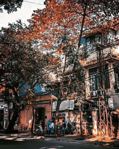 Hình Ảnh 36 Phố Phường Hà Nội