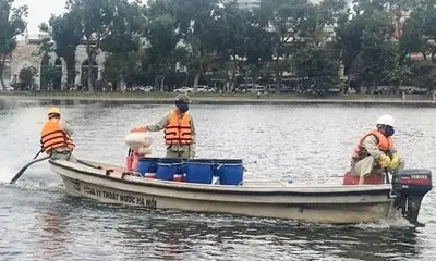 Tham Vọng Ngàn Tỉ Và Kế Ve Sầu Thoát Xác Của Gia Đình Nguyễn Đức ... Tham Vọng Ngàn Tỉ Và Kế Ve Sầu Thoát Xác Của Gia Đình Nguyễn Đức ...