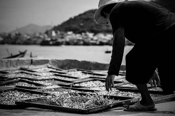 Người Dân Phơi Cá Ở Cảng Hòn Rớ, Nha Trang, Khánh Hòa. Ảnh: Au Eightx/picfair.