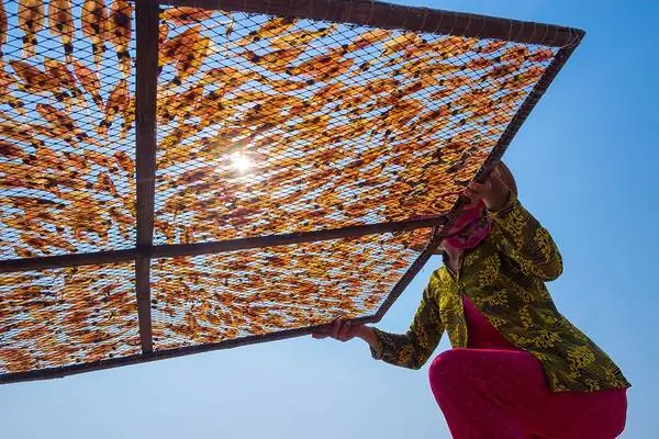 Phơi Hải Sản Trên Đảo Nam Du, Kiên Giang. Ảnh: Jethuynh/picfair.
