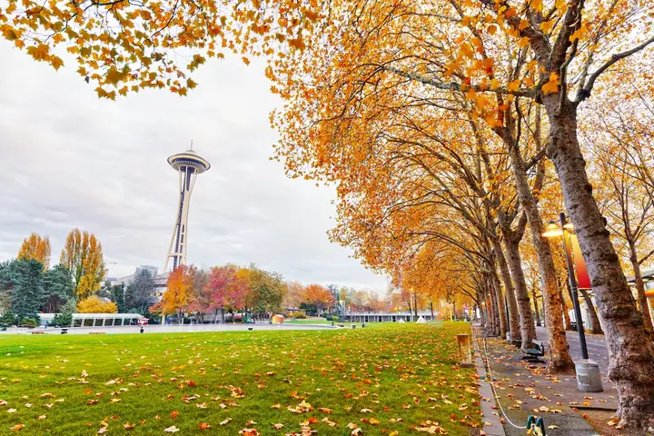 Seattle Mùa Thu – Lạc Bước Trong Sắc Lá Vàng Lãng Mạn Bên Bờ Tây ...