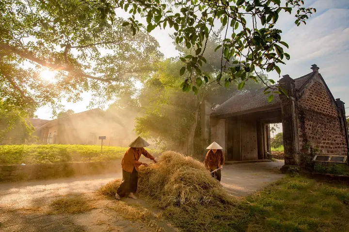 Khám Phá Làng Cổ Đường Lâm - 5 Địa Điểm Check In Đẹp ...