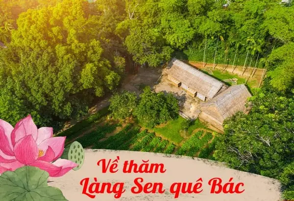 Ngắm Nhìn Hình Ảnh Làng Sen Quê Bác Nghệ An “một Thời Để Nhớ” Ngắm Nhìn Hình Ảnh Làng Sen Quê Bác Nghệ An “một Thời Để Nhớ”