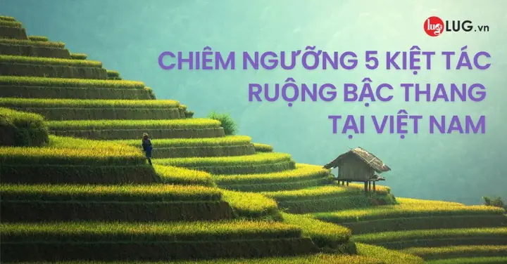 Điểm Danh Các Địa Điểm Chiêm Ngưỡng Ruộng Bậc Thang Đẹp Nhất ...