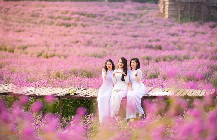 Khám Phá Album - Hình Ảnh Thảo Nguyên Đẹp Nhất Khám Phá Album - Hình Ảnh Thảo Nguyên Đẹp Nhất
