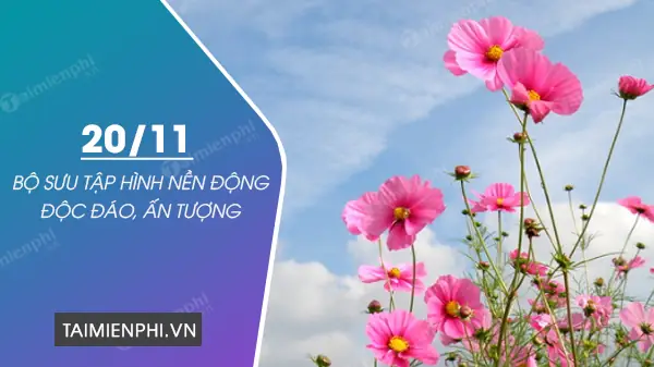 Hình Ảnh Cho Hình Ảnh Thiệp 20 Tháng 11: