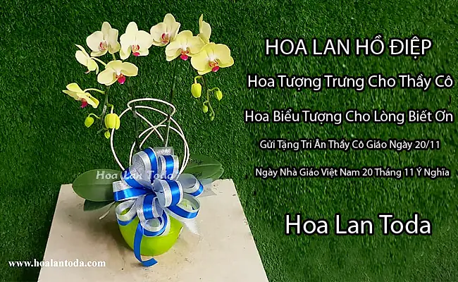 Hình Ảnh Cho Hình Ảnh Thiệp 20 Tháng 11: