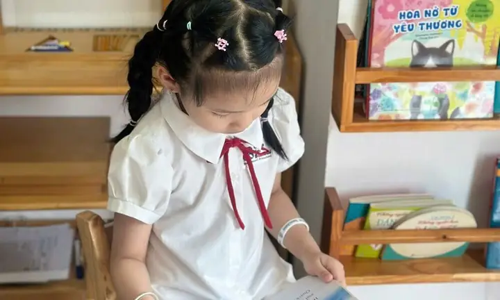 Hình Ảnh Góc Thư Viện Sáng Tạo, Ấn Tượng