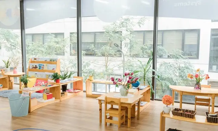 Ý Tưởng Trang Trí Góc Thư Viện Bằng Chủ Đề Thiên Nhiên