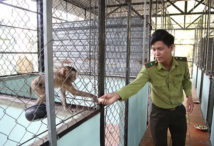 Trạm Cứu Hộ Động Vật Hoang Dã: Một Điểm Đến Ý Nghĩa