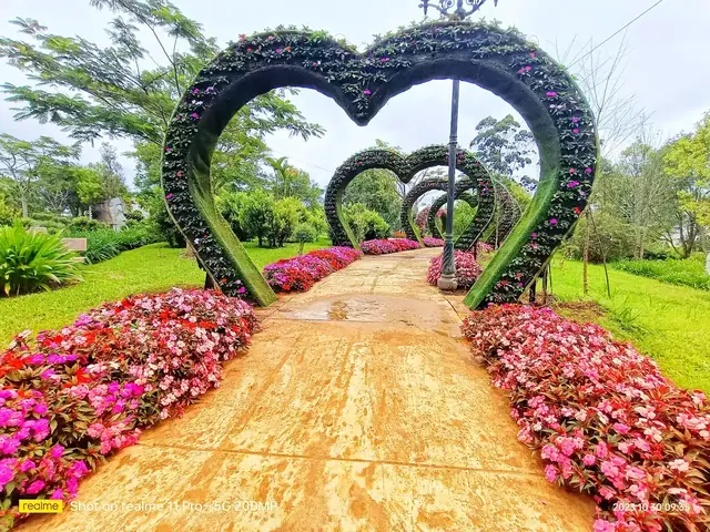 Những Trải Nghiệm Thú Vị Khi Đến Vườn Hoa Đà Lạt